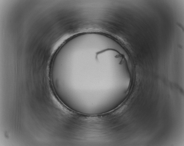 X0000101661422200807101014
