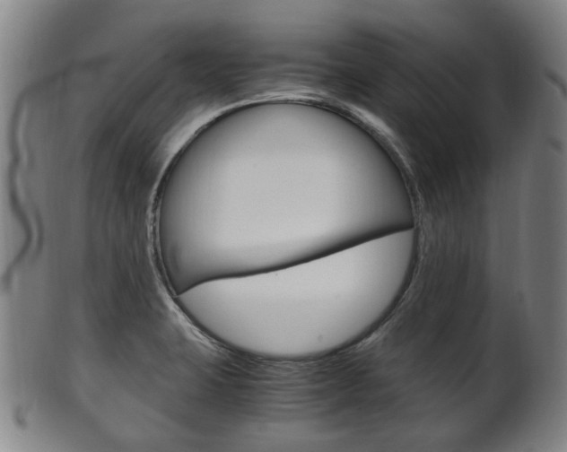 X0000101661423200807101014