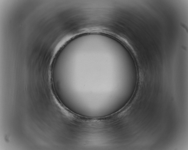 X0000101661424200807101014