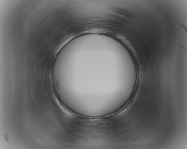 X0000101661425200807101014