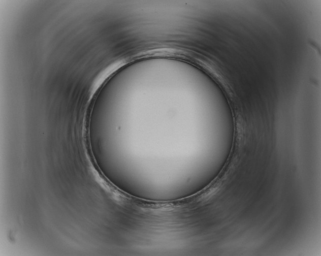 X0000101661426200807101014