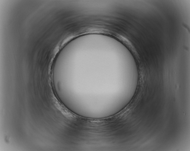 X0000101661427200807101014