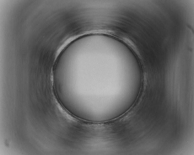 X0000101661428200807101014
