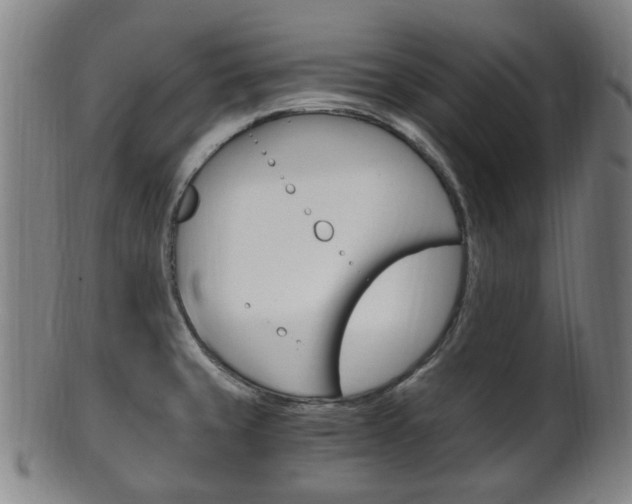 X0000101661429200807101014