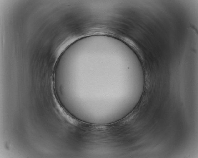 X0000101661431200807101014