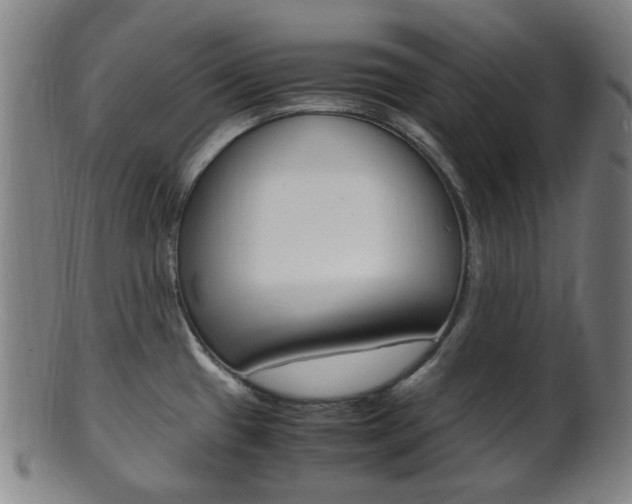 X0000101661433200807101014