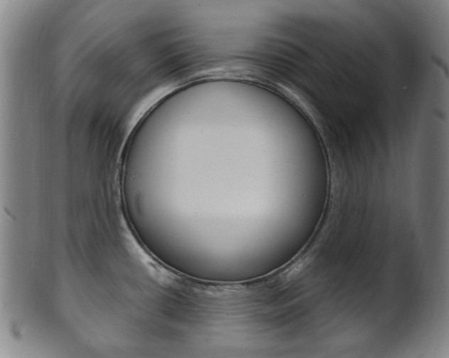 X0000101661434200807101014