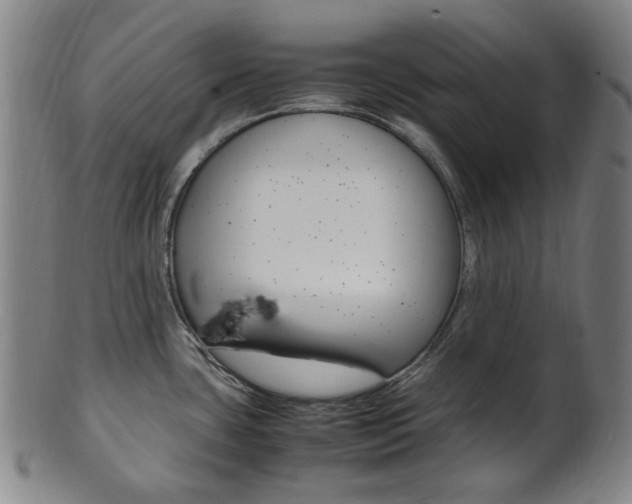 X0000101661435200807101014