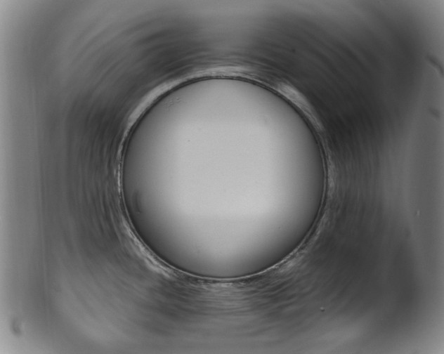 X0000101661436200807101014