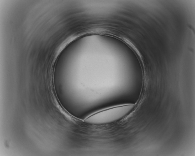 X0000101661437200807101014