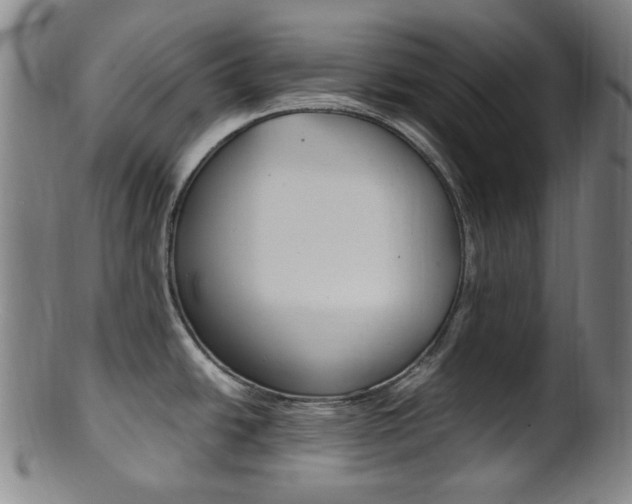 X0000101661438200807101014