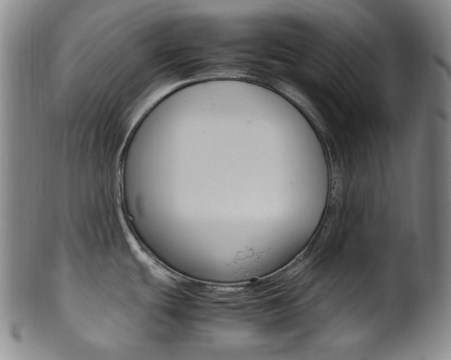 X0000101661439200807101014