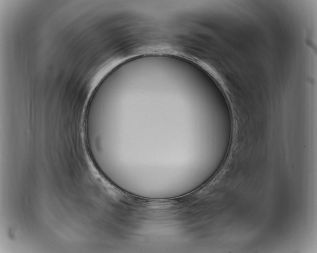 X0000101661440200807101014