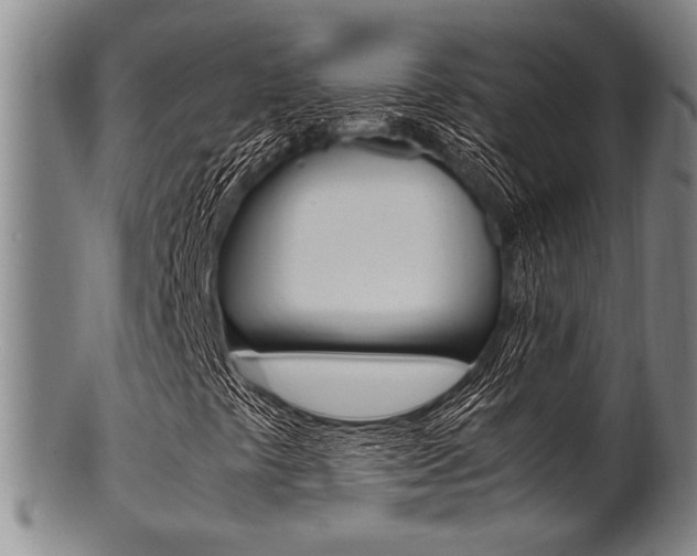 X0000101661441200807101013