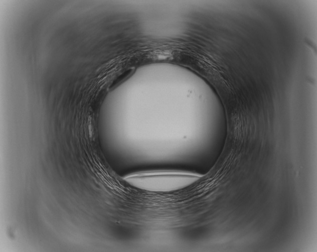X0000101661442200807101013