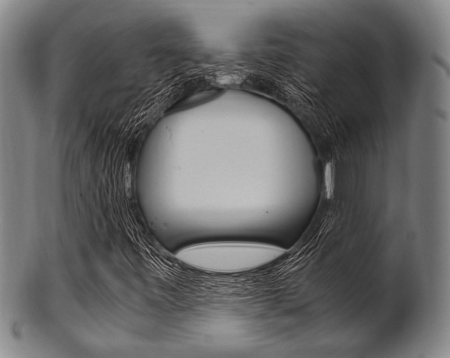 X0000101661443200807101013