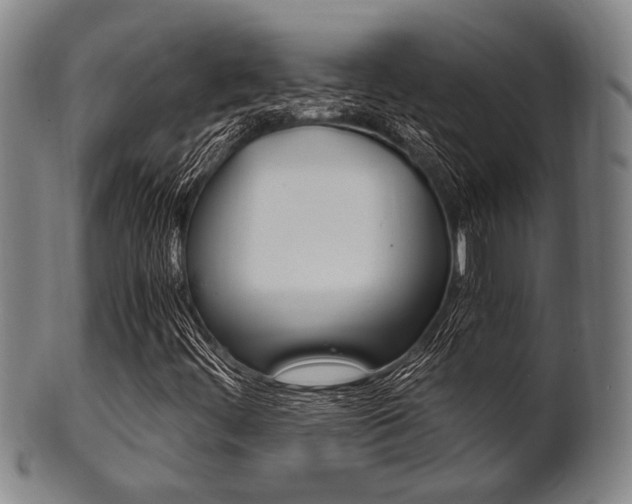 X0000101661444200807101013