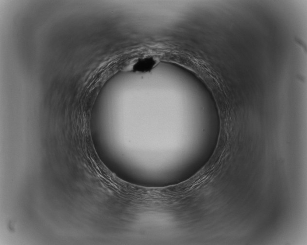 X0000101661445200807101013