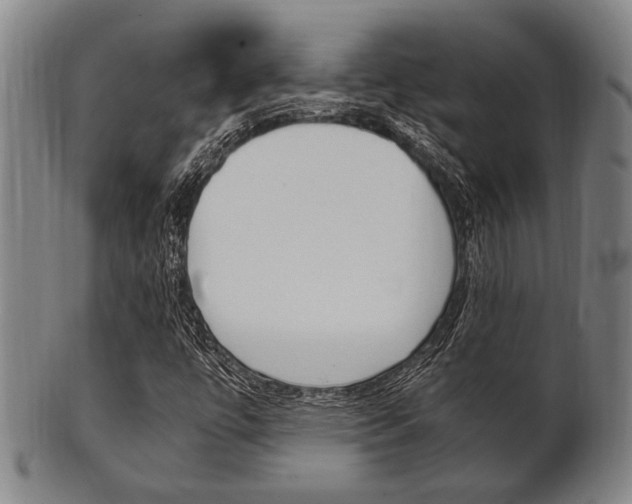X0000101661447200807101013