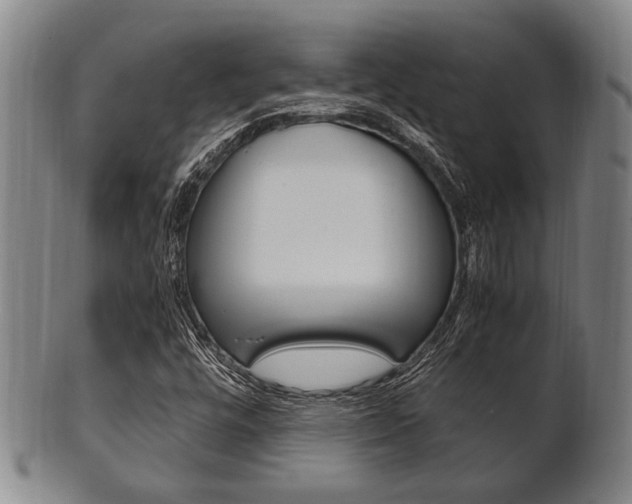 X0000101661448200807101013