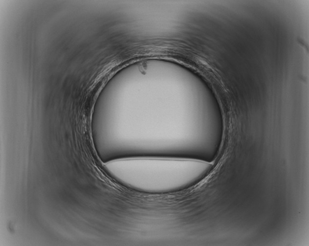 X0000101661449200807101013