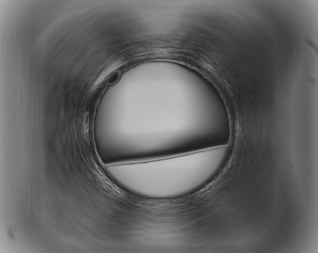 X0000101661450200807101013