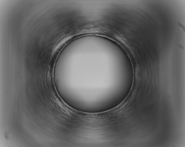 X0000101661452200807101013