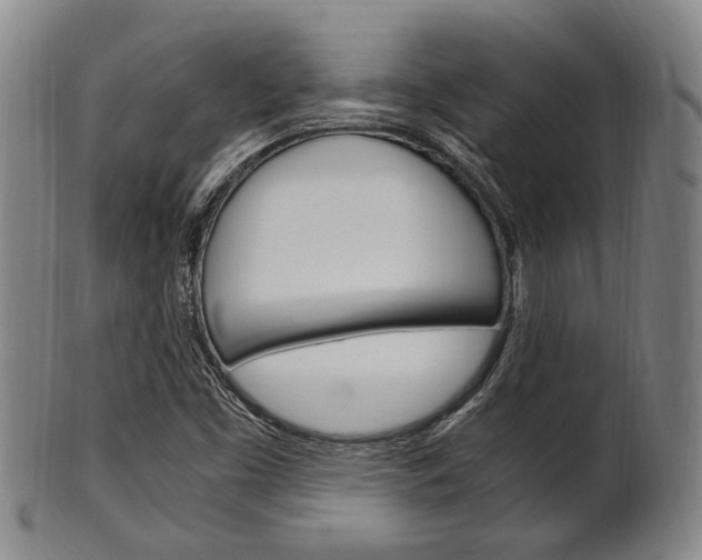 X0000101661453200807101013