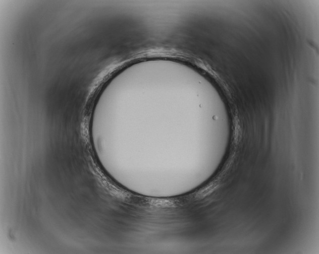 X0000101661454200807101013