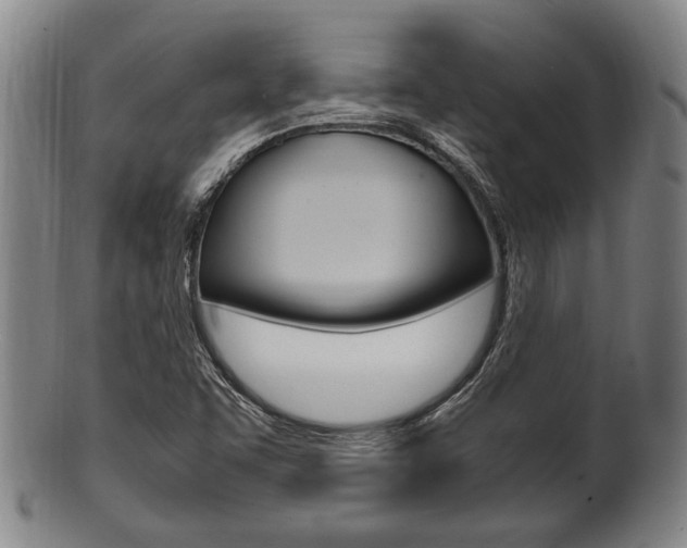 X0000101661455200807101013