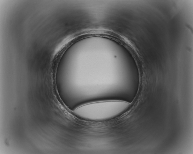X0000101661456200807101013