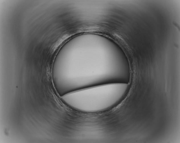 X0000101661457200807101013