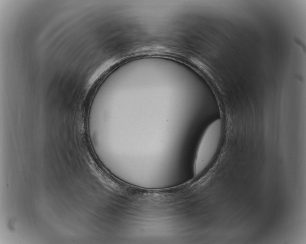 X0000101661458200807101013