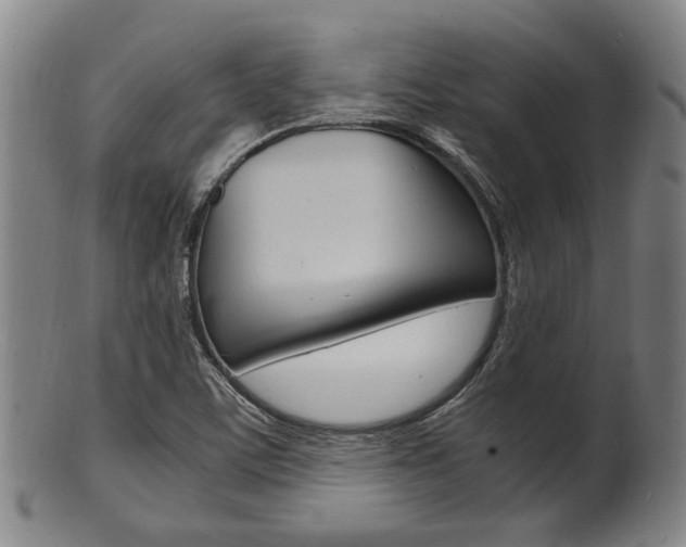 X0000101661459200807101013