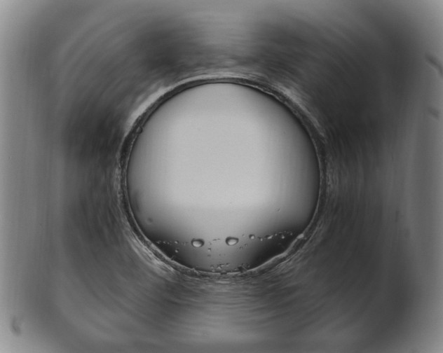 X0000101661460200807101013