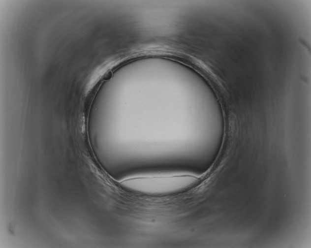 X0000101661461200807101013