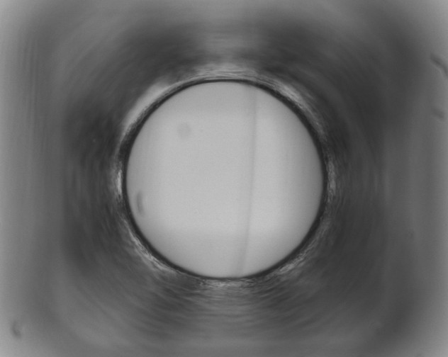 X0000101661462200807101013