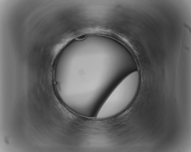 X0000101661463200807101013