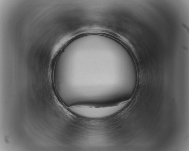 X0000101661464200807101013