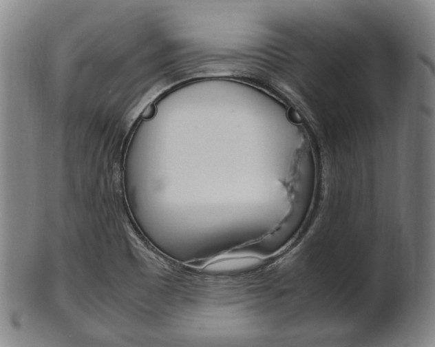 X0000101661465200807101013