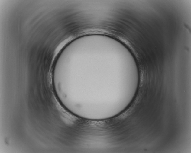 X0000101661466200807101013