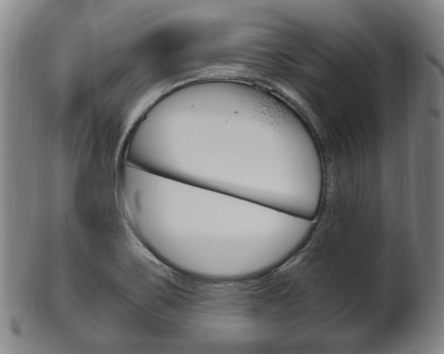 X0000101661467200807101013
