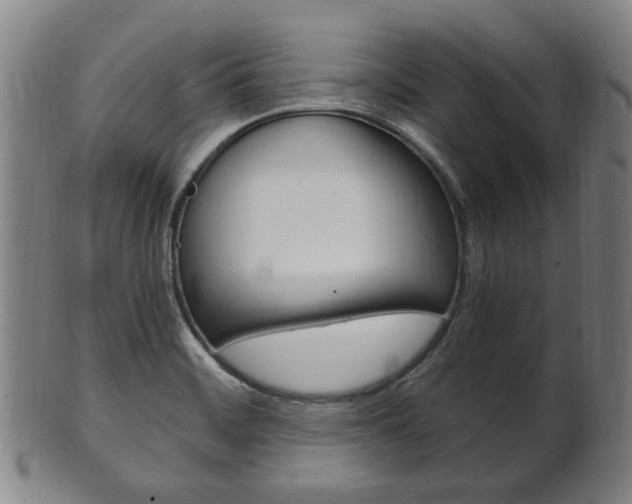 X0000101661468200807101013