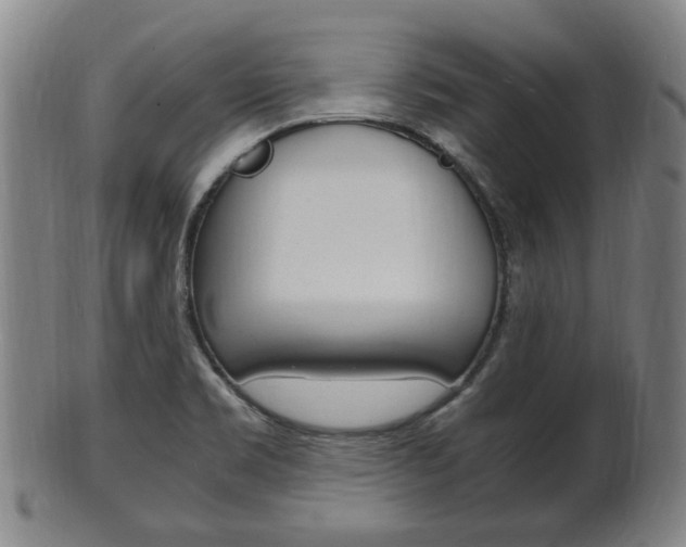 X0000101661469200807101013