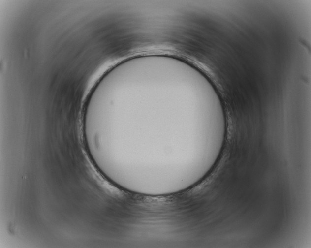 X0000101661470200807101013