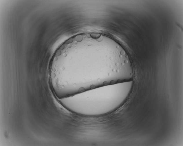 X0000101661471200807101013