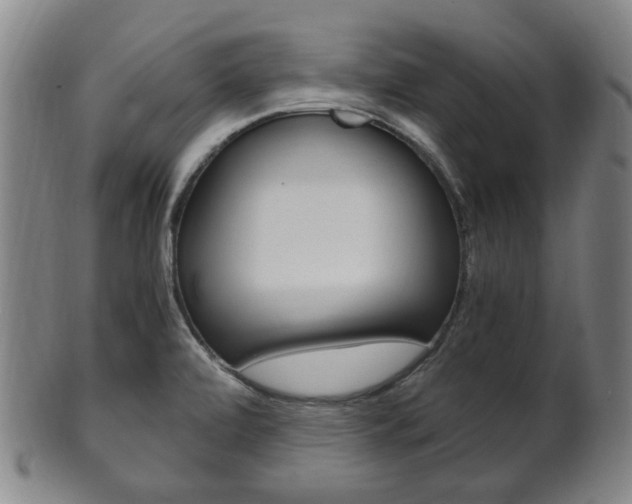 X0000101661472200807101013