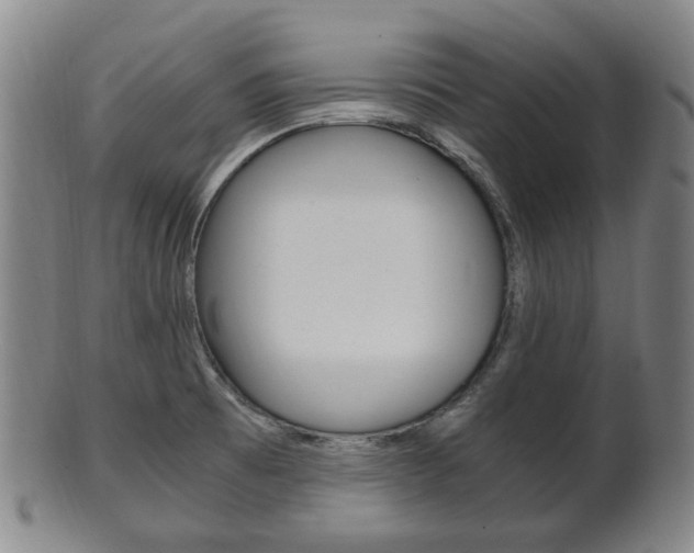 X0000101661473200807101013