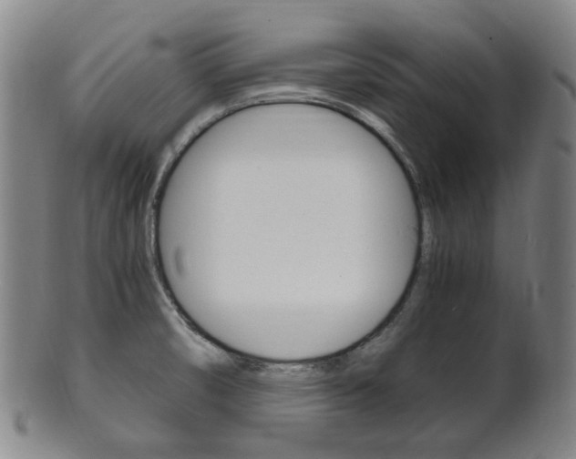 X0000101661474200807101013