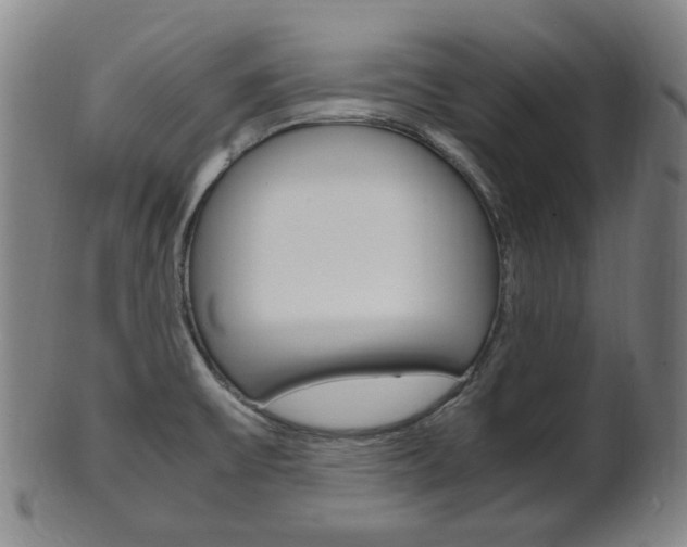 X0000101661475200807101013